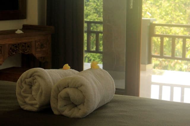 Panoramic Room, Valley View