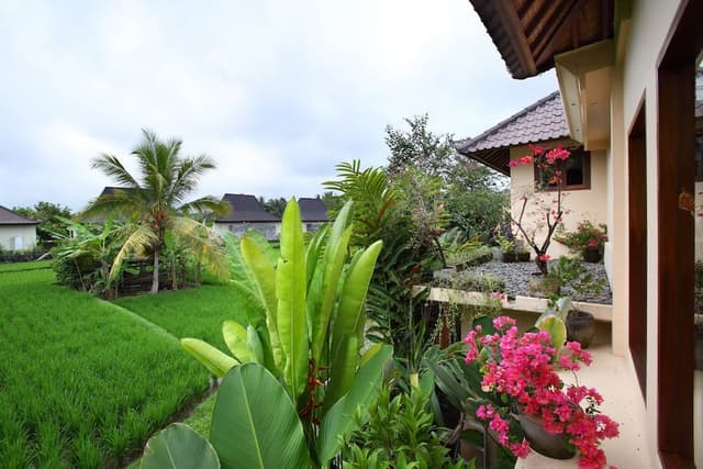 Villa, 3 Bedrooms, Private Pool (Solera)