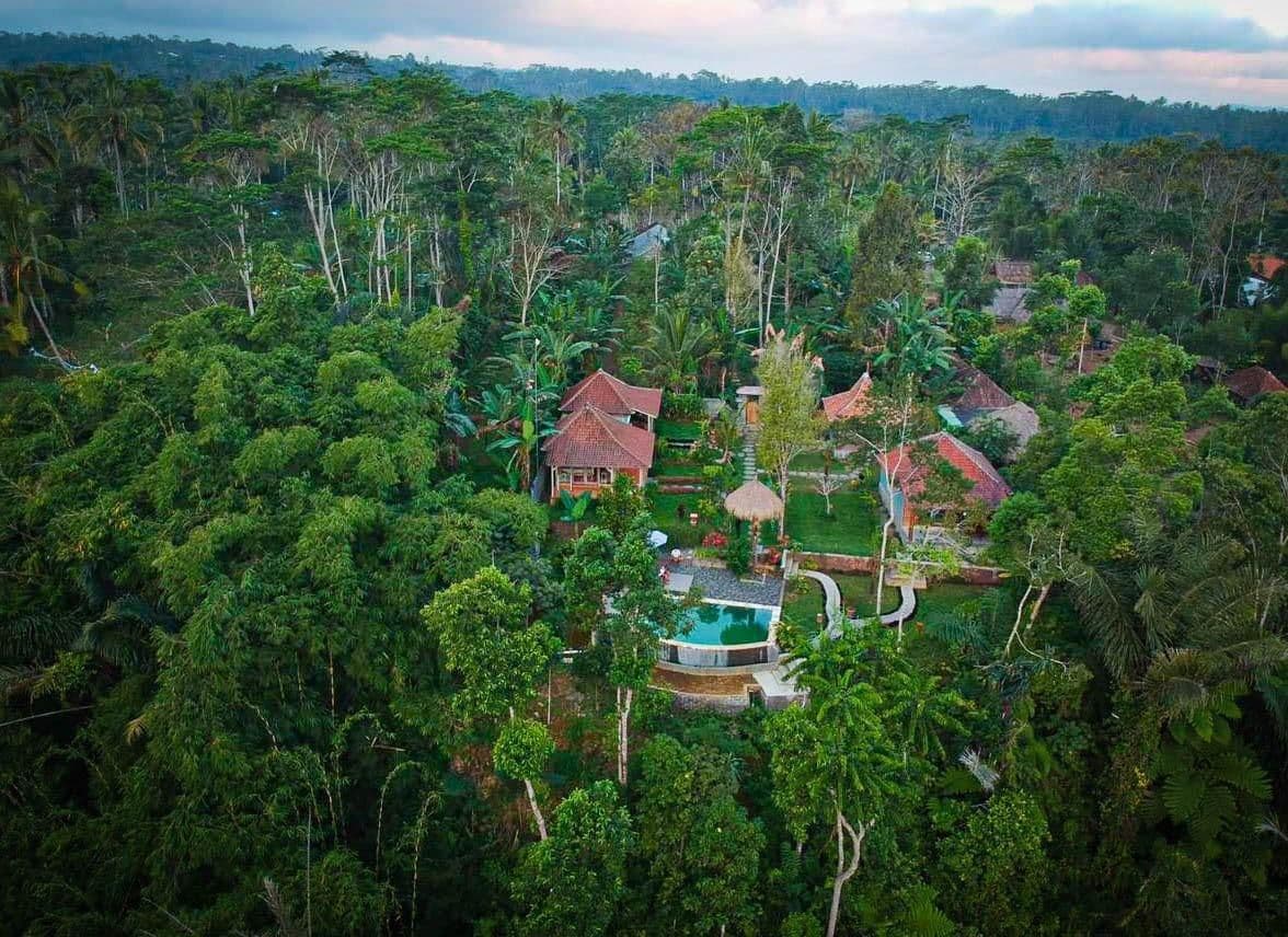 Sebatu Paradise Sebatu Paradise