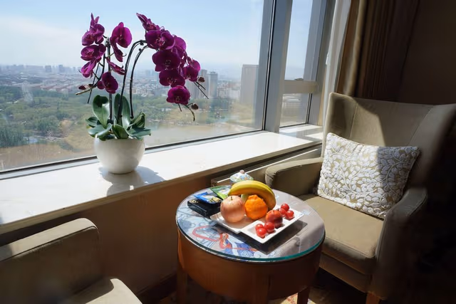 Horizon Deluxe, Room, 1 King Bed