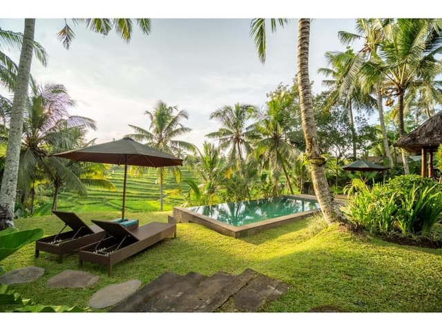 Rice Field View Private Pool Villa