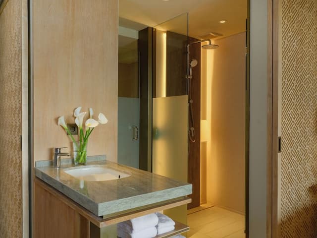 Deluxe room, balcony and forest view - 2 single beds