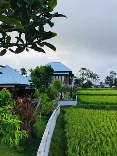 Villa Kasuari Villa Kasuari