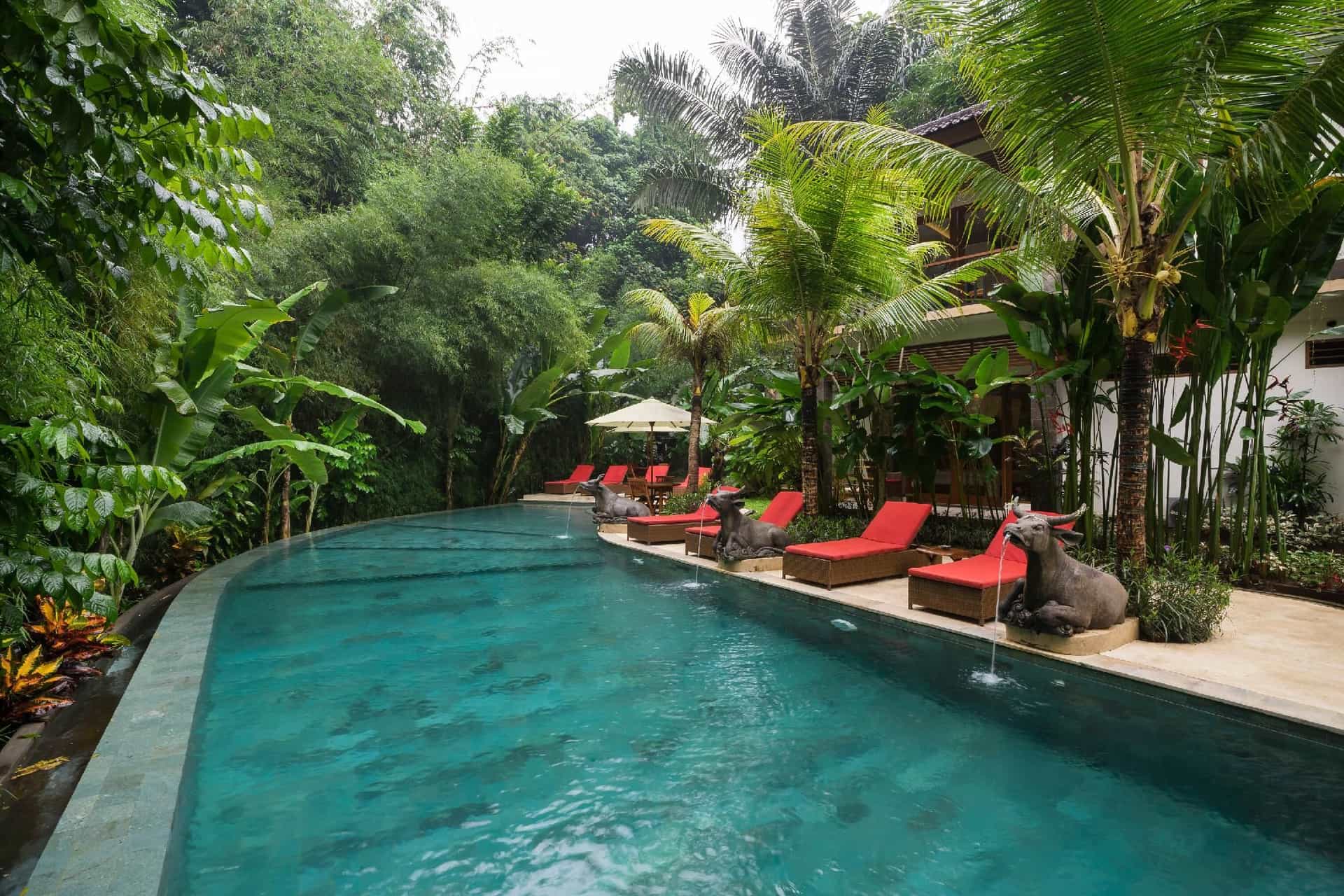 Jungle Haven Resort Central Ubud Jungle Haven Resort Central Ubud