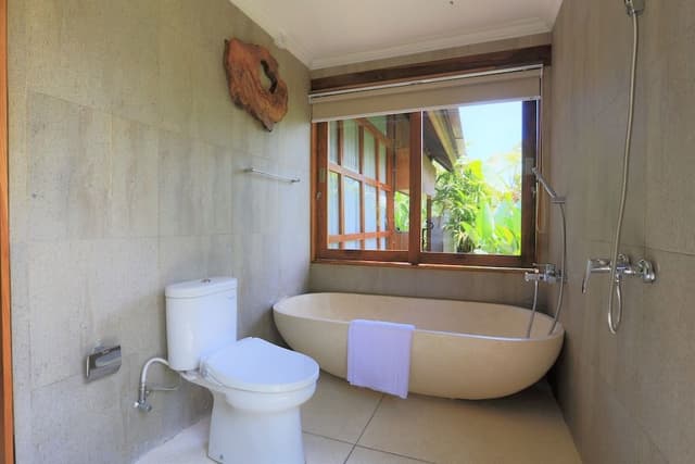 Deluxe Villa, 1 Queen Bed, Private Pool