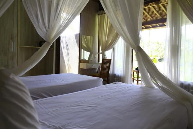 Superior Room with Jungle View