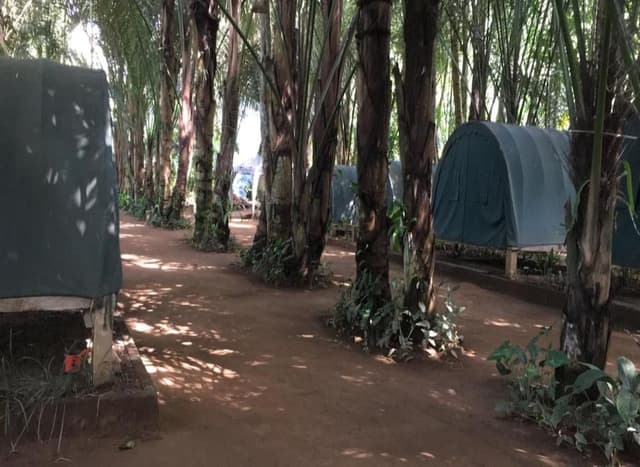 Junior Tent