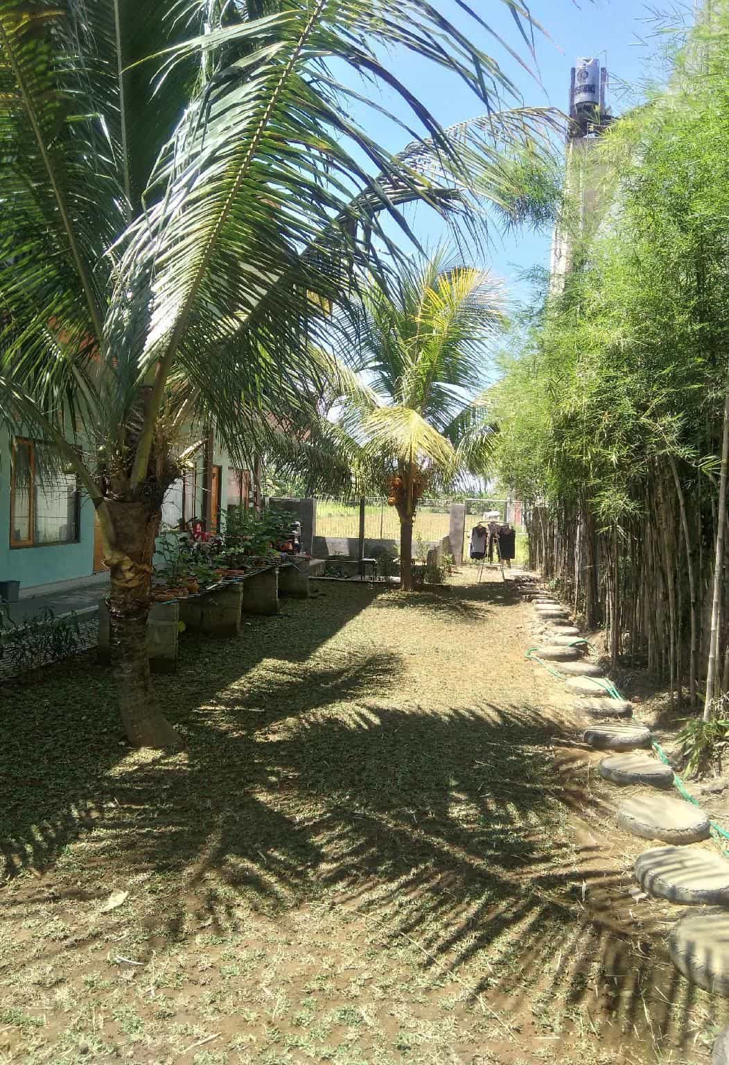 Sayan Ubud Guest House Sayan Ubud Guest House