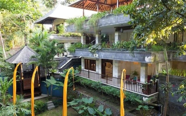 Superior Suite (Jungle View)