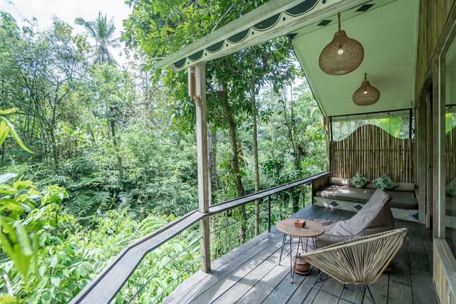 Suite Jungle Lodge with Daily Afternoon Tea