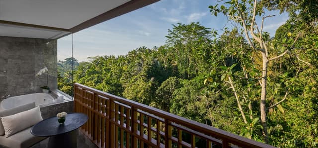 Forest View Room