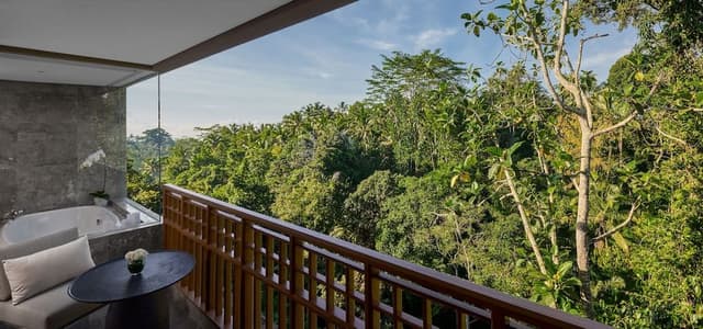 Forest View Room