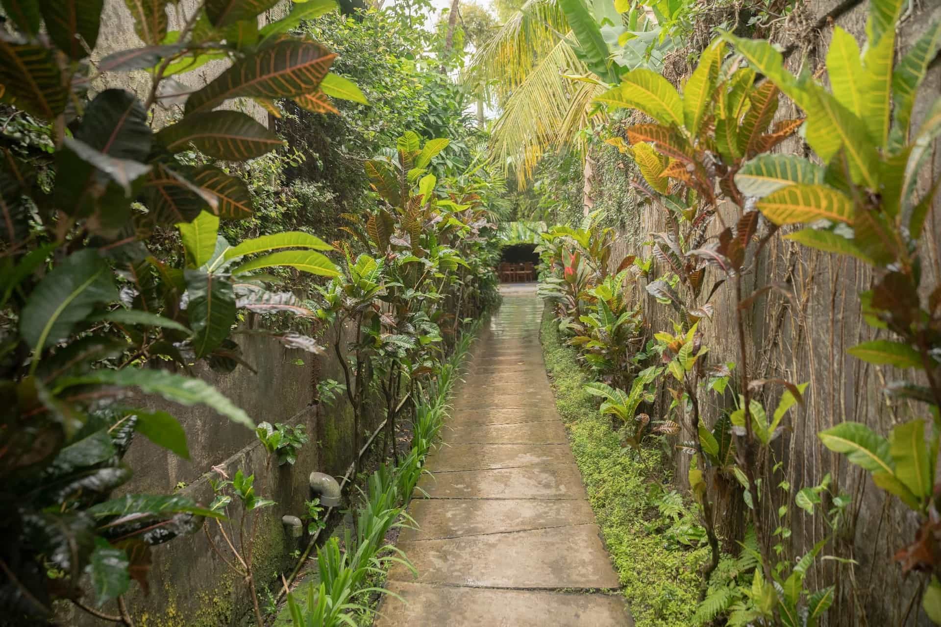 Villa Sayang Bunga Ubud Villa Sayang Bunga Ubud