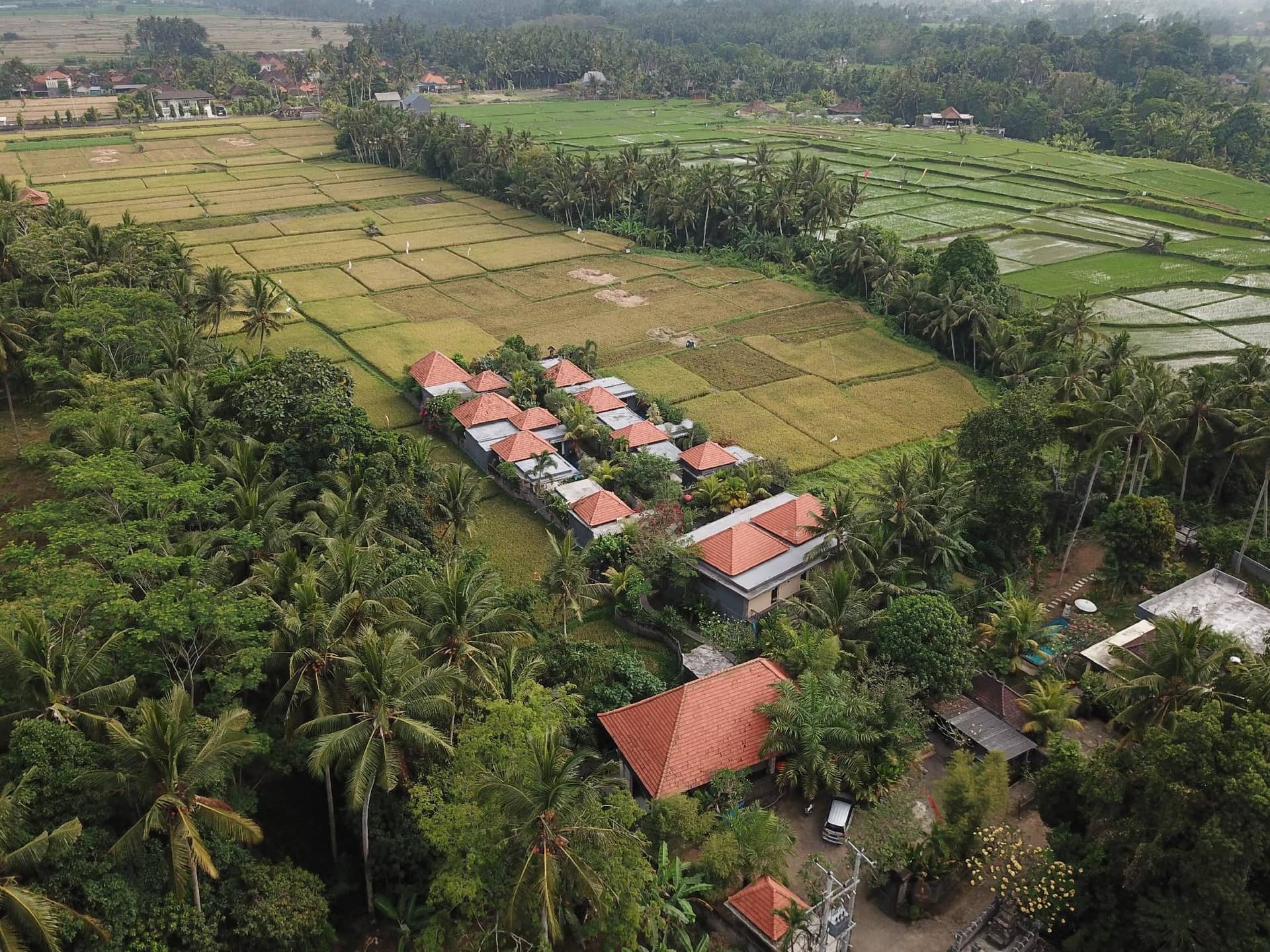Asri Sari Ubud Resort and Villa Asri Sari Ubud Resort and Villa