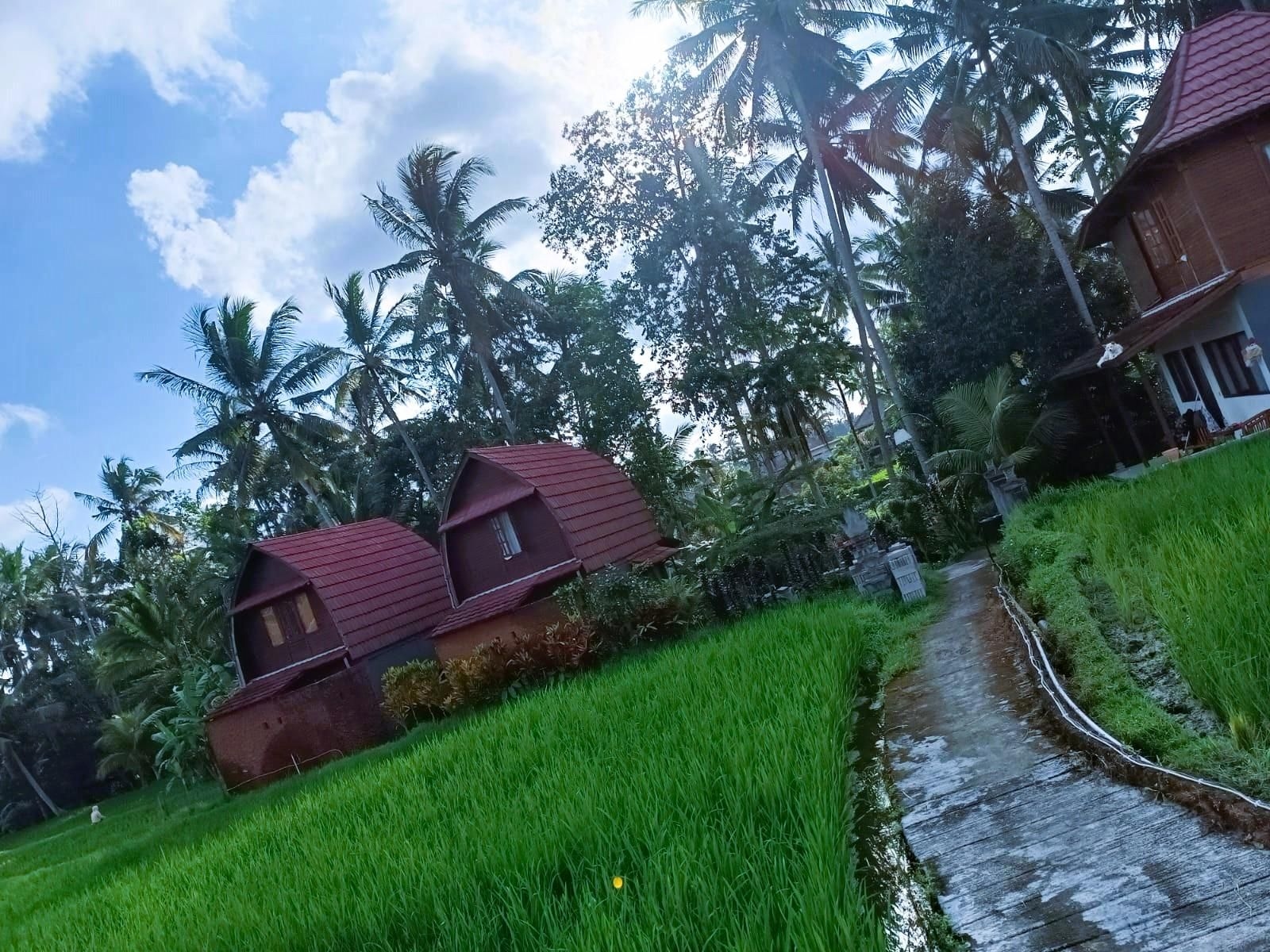 Pandawa Loft2
