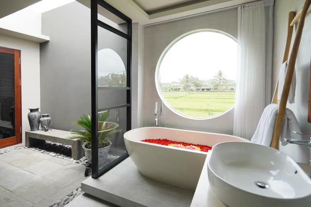 Deluxe Pool View