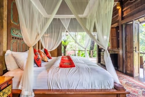 อะสตันนิงแอนทีคสไตล์แอนด์อะเนเจอร์แซงชัวรี (A Stunning Antique Style And A Nature Sanctuary)2