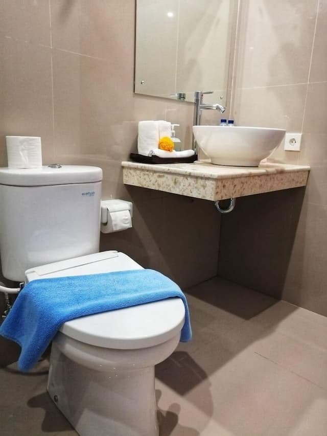 Standard Double or Twin Room