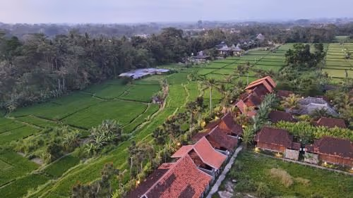 Wooden Deluxe With Rice Field View