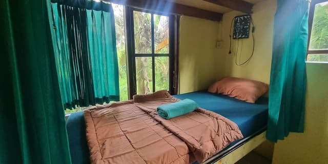 Standard Shared Dormitory