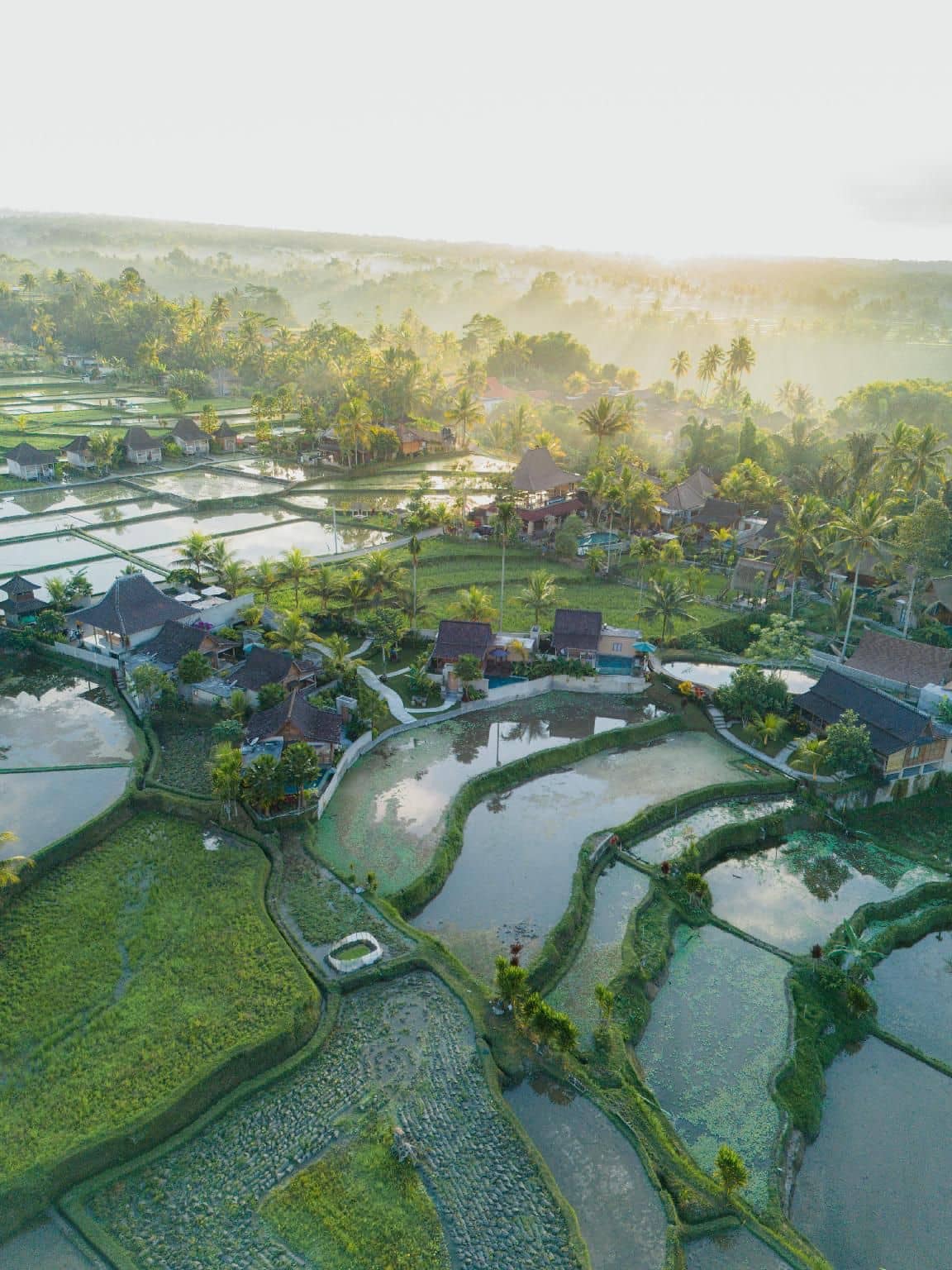 Taksu Sebatu Villa Taksu Sebatu Villa