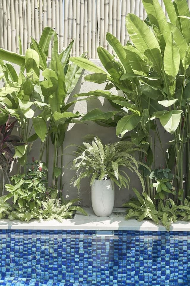Luxury Villa, 2 Bedrooms, Private Pool