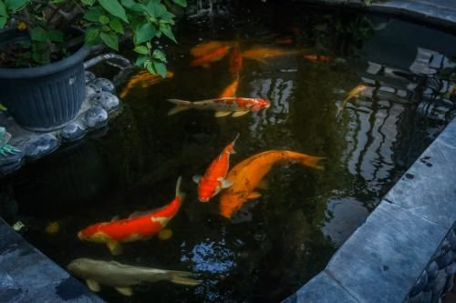 Sekar Waru Homestay4