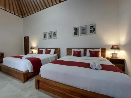 อินโนรา จังเกิล รีสอร์ท แอนด์ สปา (Innora Jungle Resort and Spa)2