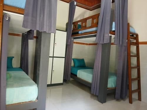4-Bed Mixed Dormitory Room
