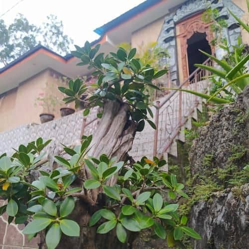 Sion Homestay Sion Homestay
