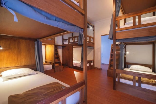 Comfort Shared Dormitory