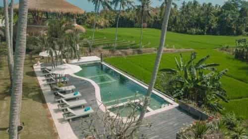 Coco verde bali