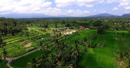 เดอ กลุมโป บาหลี อีโค ตราดิ สเตย์ (De Klumpu Bali Eco Tradi Stay)0