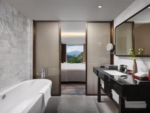1 King Premium Balcony