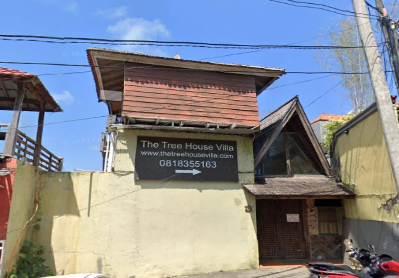 The Tree House The Tree House