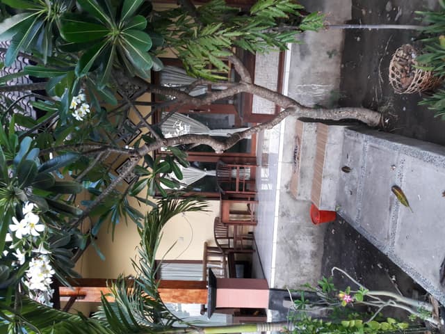 Standard Fan with Garden View