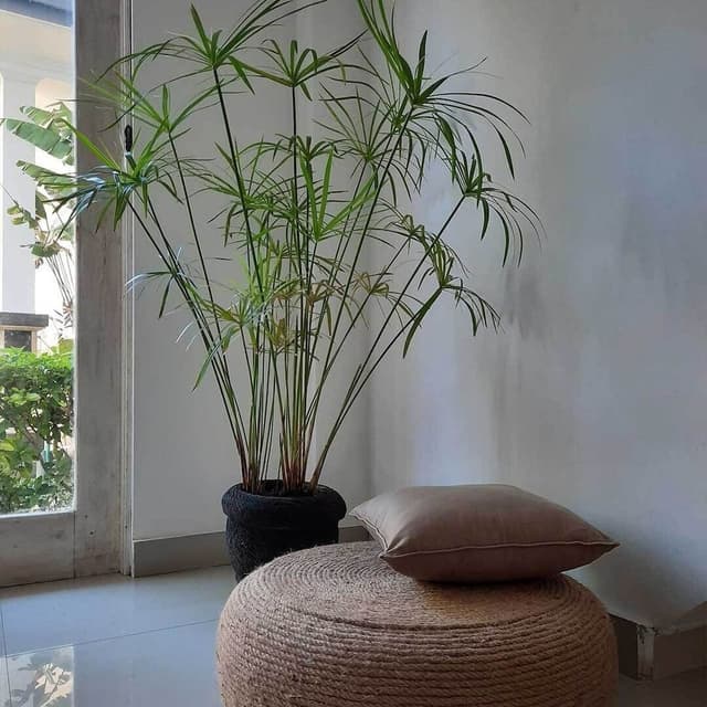 Comfort Double Room, Balcony, Mountain View