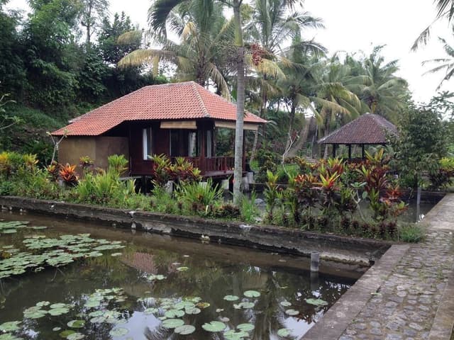 One Bedroom