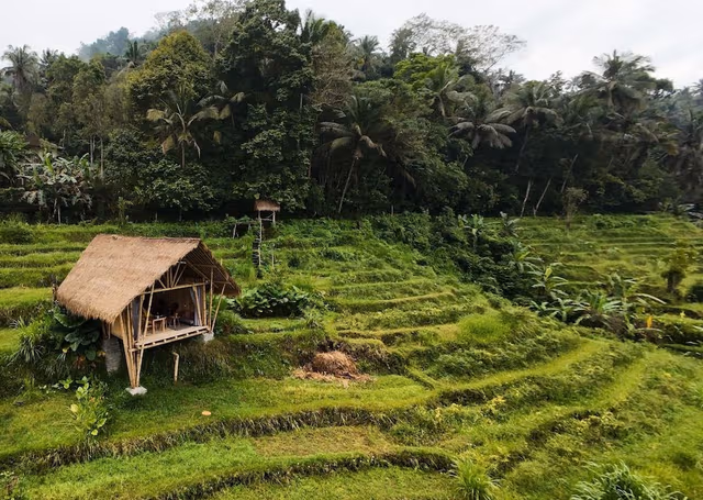 Bamboo Villa Standard