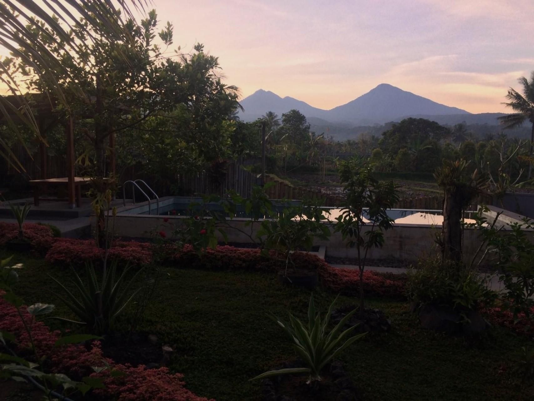 The Champuhan - Honeymoon Villa Rice Field View4