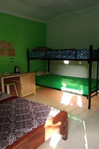 Umah Hijau Tabanan Umah Hijau Tabanan