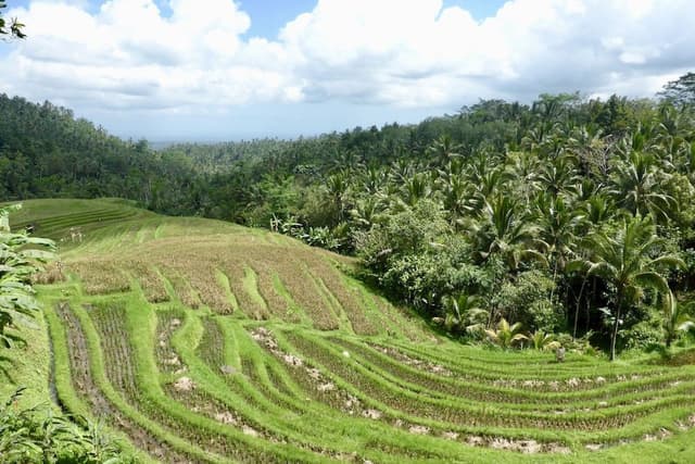 Villa Manggis