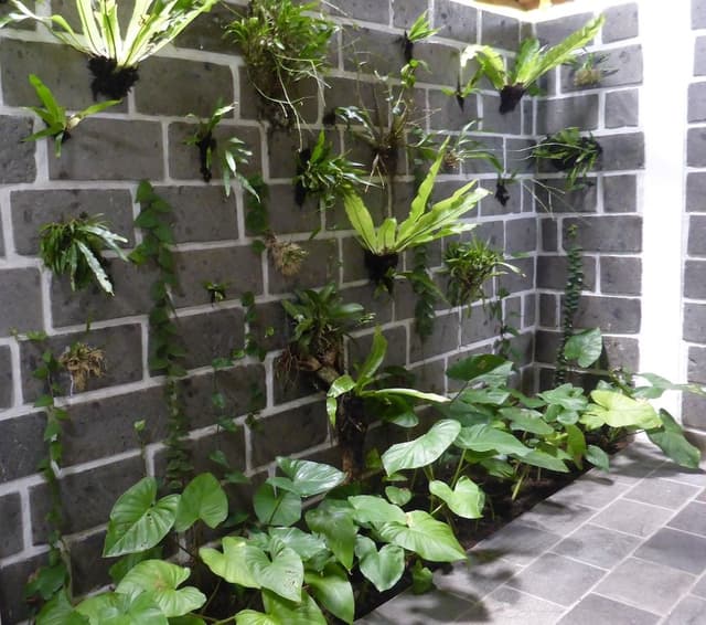 Villa Manggis