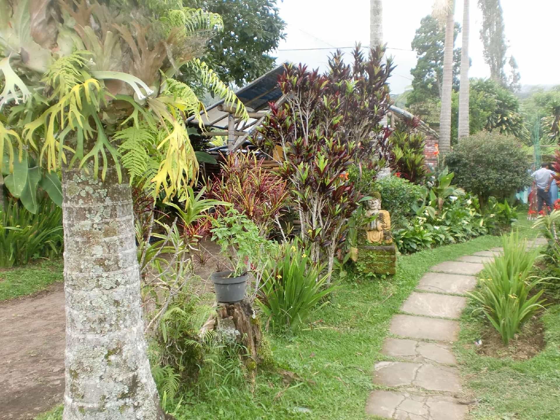 Pelangi Homestay Pelangi Homestay