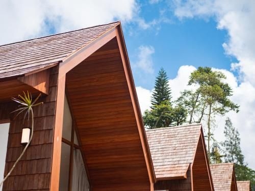 Catu Glamping Bedugul2