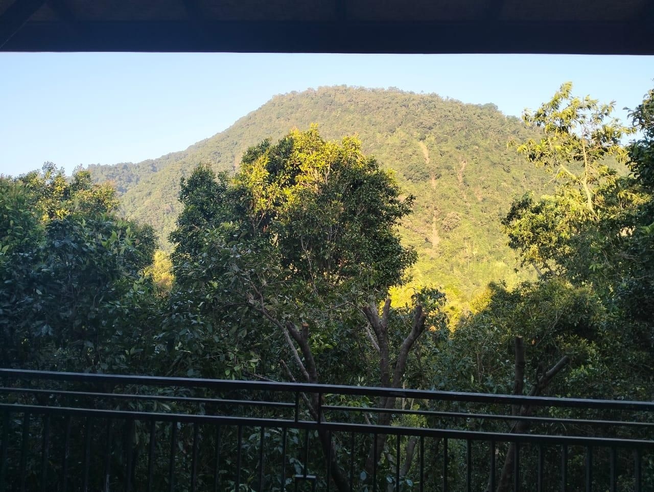 ซูกิ เกเด โฮมสเตย์ (Sugi Gede Homestay)0