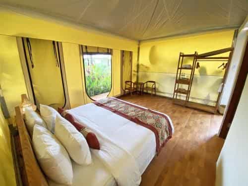 Paddy's Glamping Paddy's Glamping