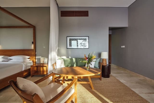 Junior Studio Suite