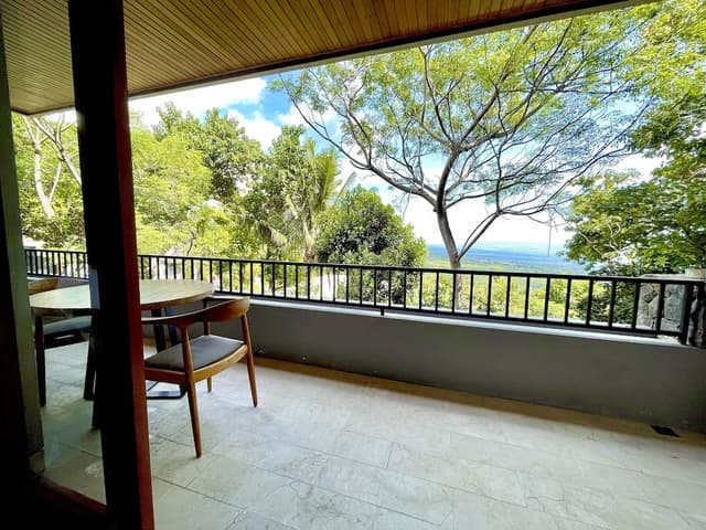 Junior Studio Suite