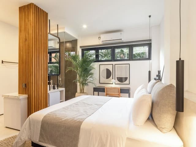 Deluxe Apartment